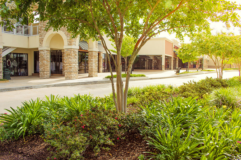 Landry's Landscape Portfolio